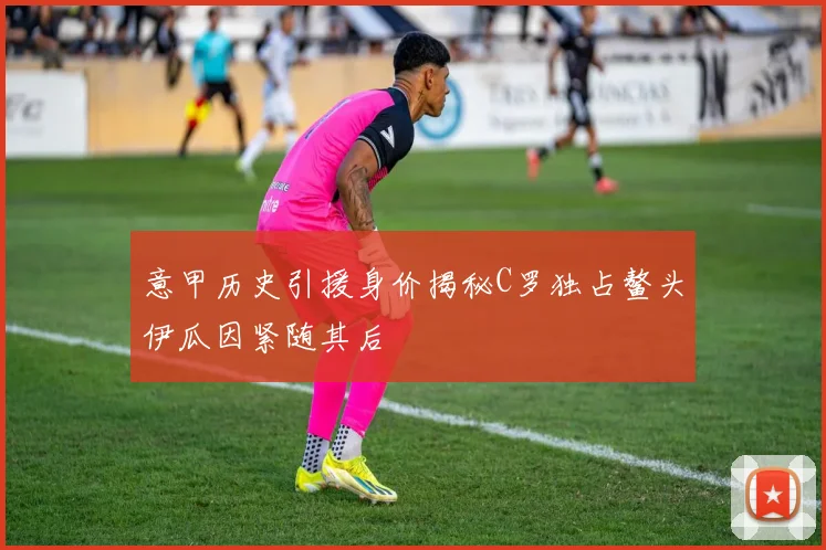 意甲历史引援身价揭秘C罗独占鳌头伊瓜因紧随其后