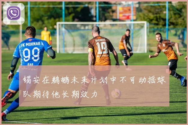 锡安在鹈鹕未来计划中不可动摇球队期待他长期效力