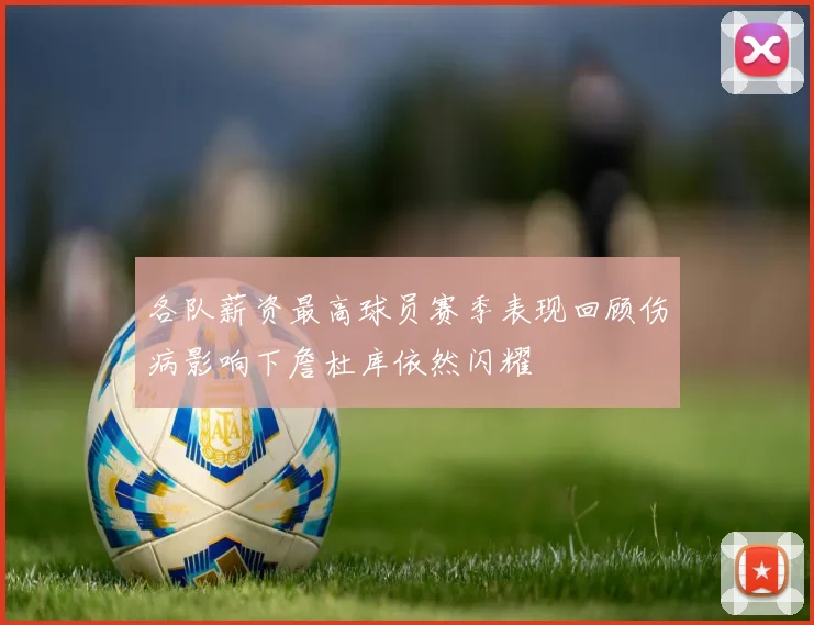 各队薪资最高球员赛季表现回顾伤病影响下詹杜库依然闪耀