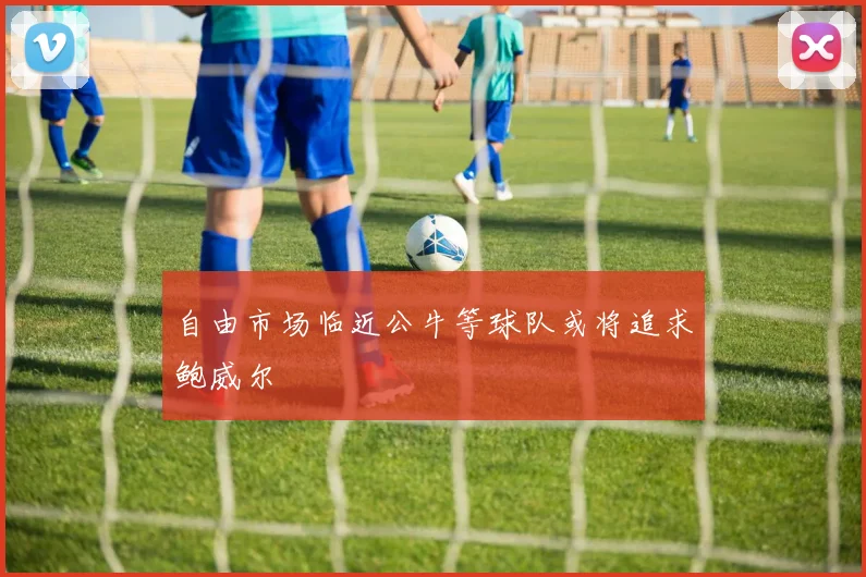 自由市场临近公牛等球队或将追求鲍威尔